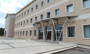 Curia